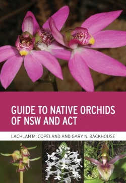Bertrand.pt - Guide To Native Orchids Of Nsw And Act