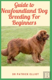 Guide To Newfoundland Dog Breeding For Beginners