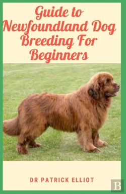 Bertrand.pt - Guide To Newfoundland Dog Breeding For Beginners