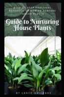 Guide To Nurturing House Plants