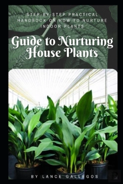 Bertrand.pt - Guide To Nurturing House Plants