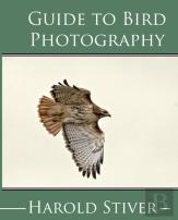 Guide To Photographing Birds