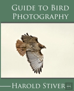 Bertrand.pt - Guide To Photographing Birds