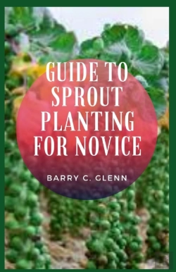Bertrand.pt - Guide To Sprout Planting For Novice