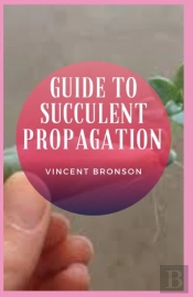 Guide To Succulent Propagation