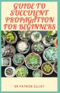 Guide To Succulent Propagation For Beginners