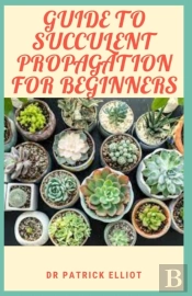 Guide To Succulent Propagation For Beginners