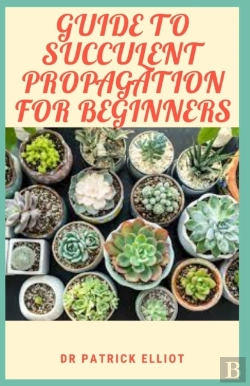 Bertrand.pt - Guide To Succulent Propagation For Beginners