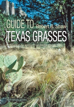 Bertrand.pt - Guide To Texas Grasses
