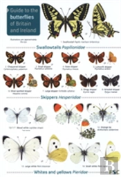 Guide To The Butterflies Of Britain And Ireland