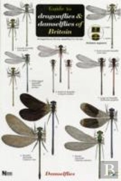 Guide To The Dragonflies And Damselflies Of Britain