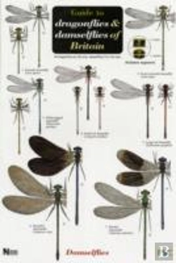 Bertrand.pt - Guide To The Dragonflies And Damselflies Of Britain
