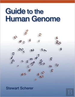 Bertrand.pt - Guide To The Human Genome