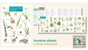 Guide To The Non-Native Invasive Plants Of Britain And Ireland