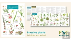Bertrand.pt - Guide To The Non-Native Invasive Plants Of Britain And Ireland