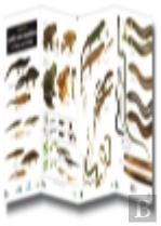 Guide To The Reptiles And Amphibians Of Britain And Ireland