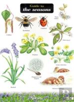 Guide To The Seasons