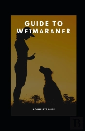 Guide To WãÂ€¢ÃÂ€ MãÂRãÂNãÂ€¢R