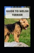 Guide To Welsh Terrier
