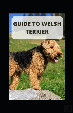 Bertrand.pt - Guide To Welsh Terrier