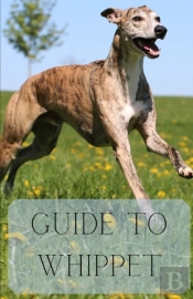 Guide To Whippet