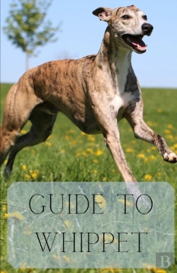 Bertrand.pt - Guide To Whippet
