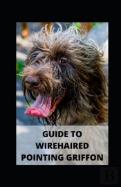 Guide To Wirehaired Pointing Griffon