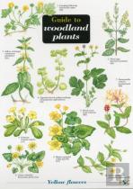 Guide To Woodland Plants