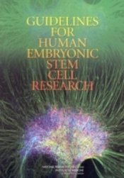 Guidelines For Human Embryonic Stem Cell Research