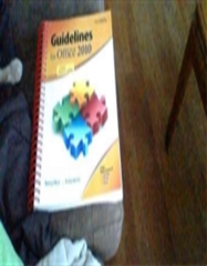 Guidelines For Microsofta Office 2010