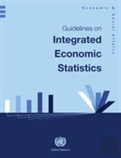 Guidelines On Integrated Economic Statistics
