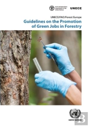 Guidelines On The Promotion Of Green Jobs In Forestry