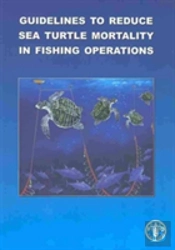 Guidelines To Reduce Sea Turtle Mortality In Fishing Operations