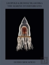 Guido Mocafico: Leopold & Rudolf Blaschka. The Marine Invertebrates