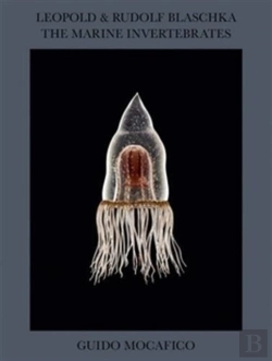 Bertrand.pt - Guido Mocafico: Leopold & Rudolf Blaschka. The Marine Invertebrates