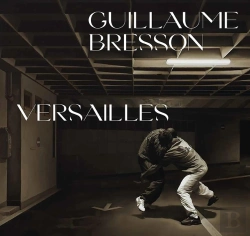 Bertrand.pt - Guillaume Bresson : Versailles