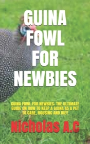 Guina Fowl For Newbies