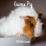 Guinea Pig 2021 Wall Calendar