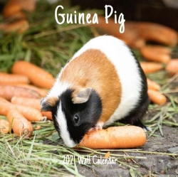 Bertrand.pt - Guinea Pig 2021 Wall Calendar