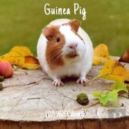 Guinea Pig 2021 Wall Calendar