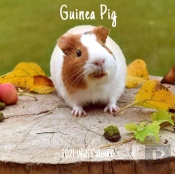 Guinea Pig 2021 Wall Calendar