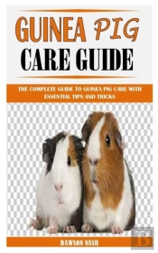 Guinea Pig Care Guide