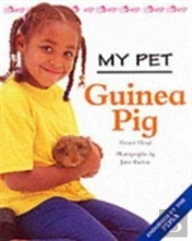 Guinea Pig
