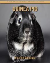 Guinea Pig