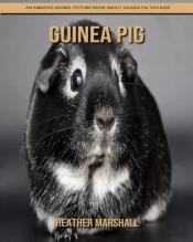 Guinea Pig