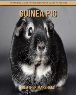 Bertrand.pt - Guinea Pig