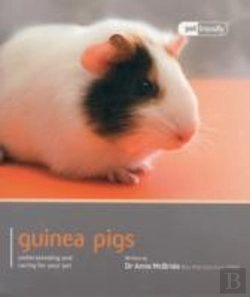 Bertrand.pt - Guinea Pig - Pet Friendly