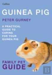 Guinea Pig