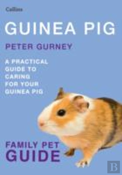 Bertrand.pt - Guinea Pig