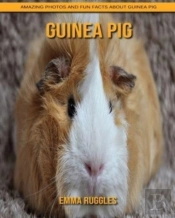 Guinea Pig